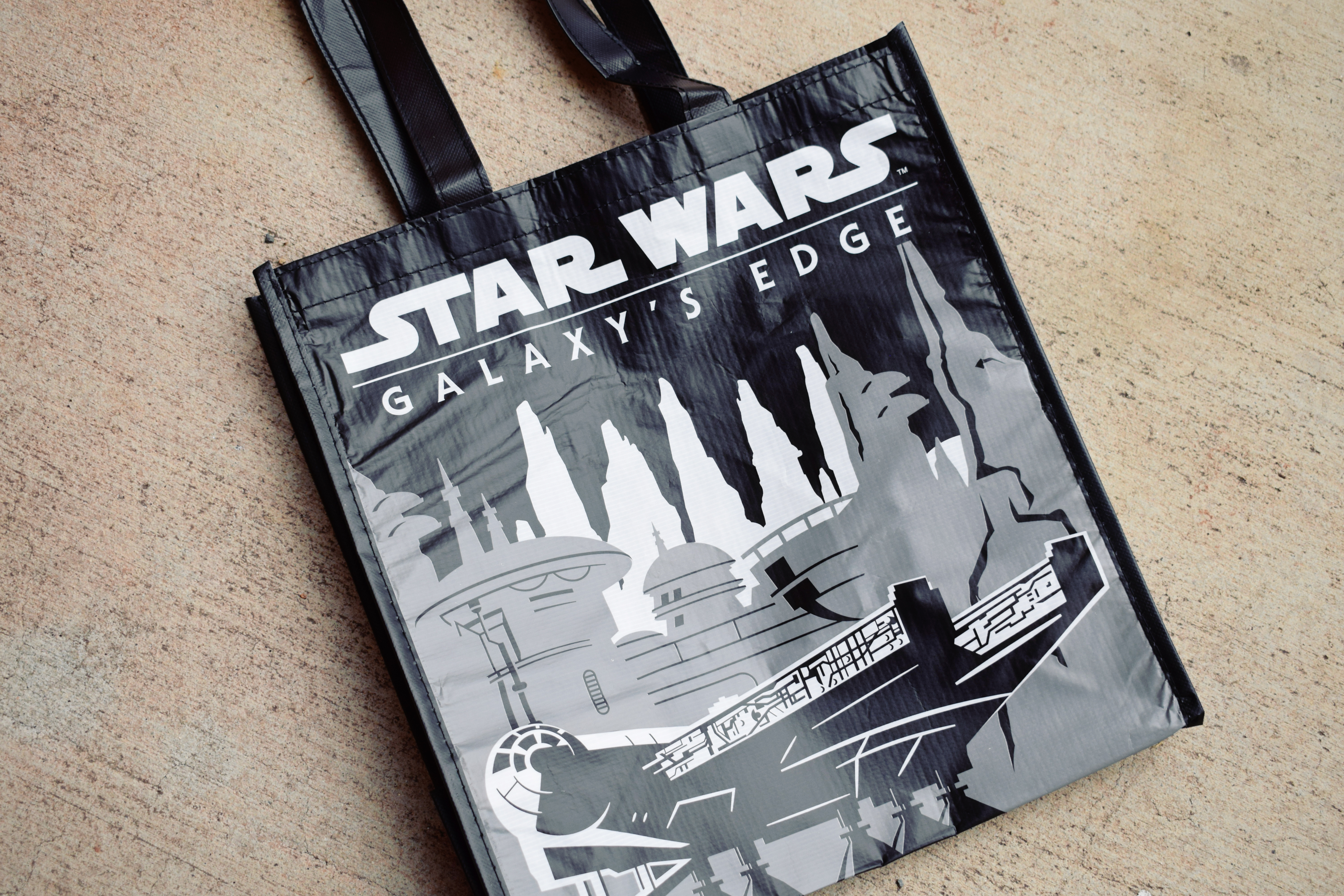 Galaxy's Edge: Merchandise & What I Bought on Opening Day | Anakin and His Angel