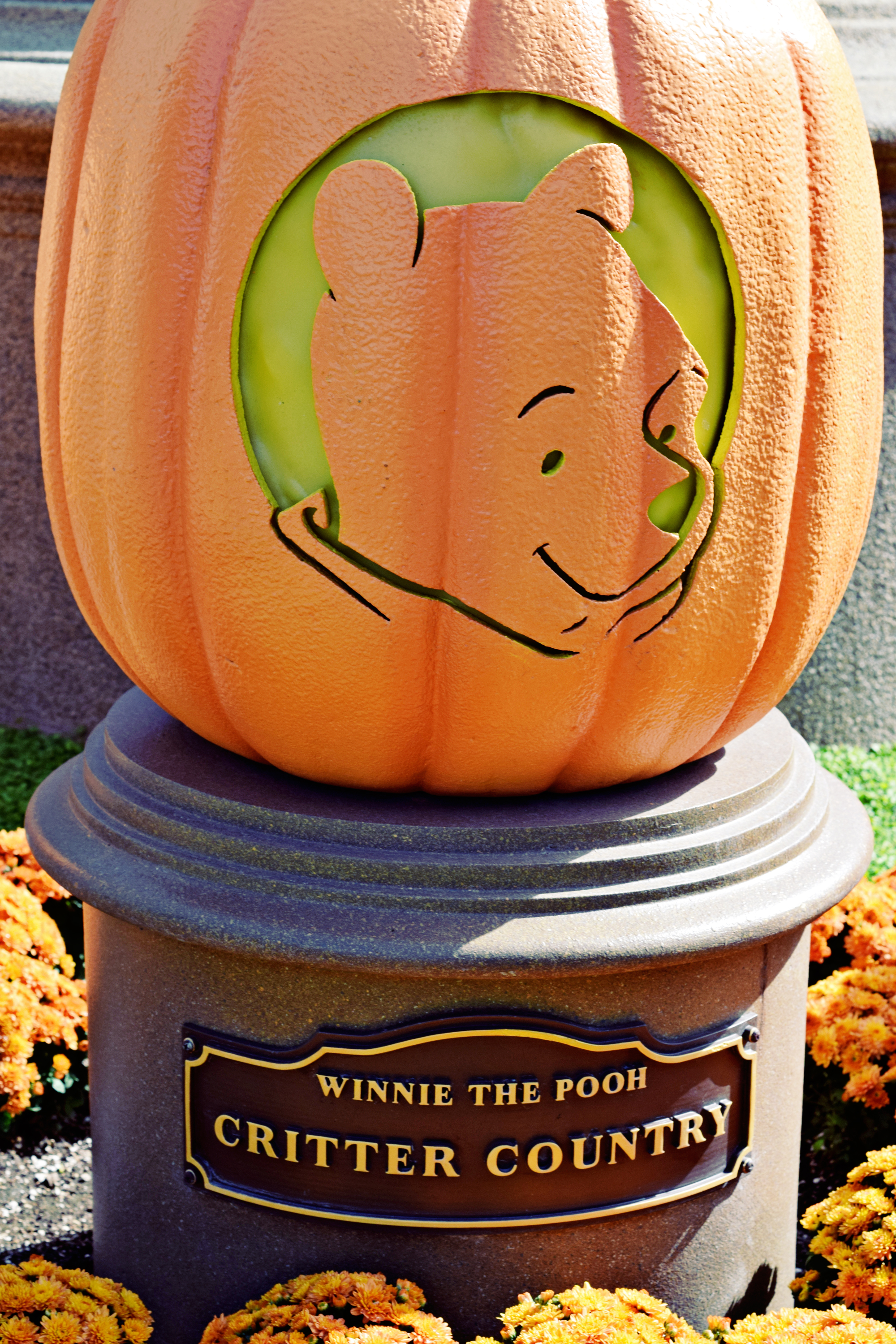 Disney Days: Porgs & Pumpkins | Anakin and His Angel